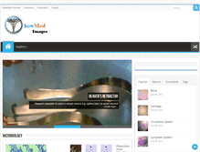 Tablet Screenshot of images.howmed.net